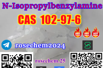 NIsopropylbenzylamine CAS 102976 Supply from 8615355326496